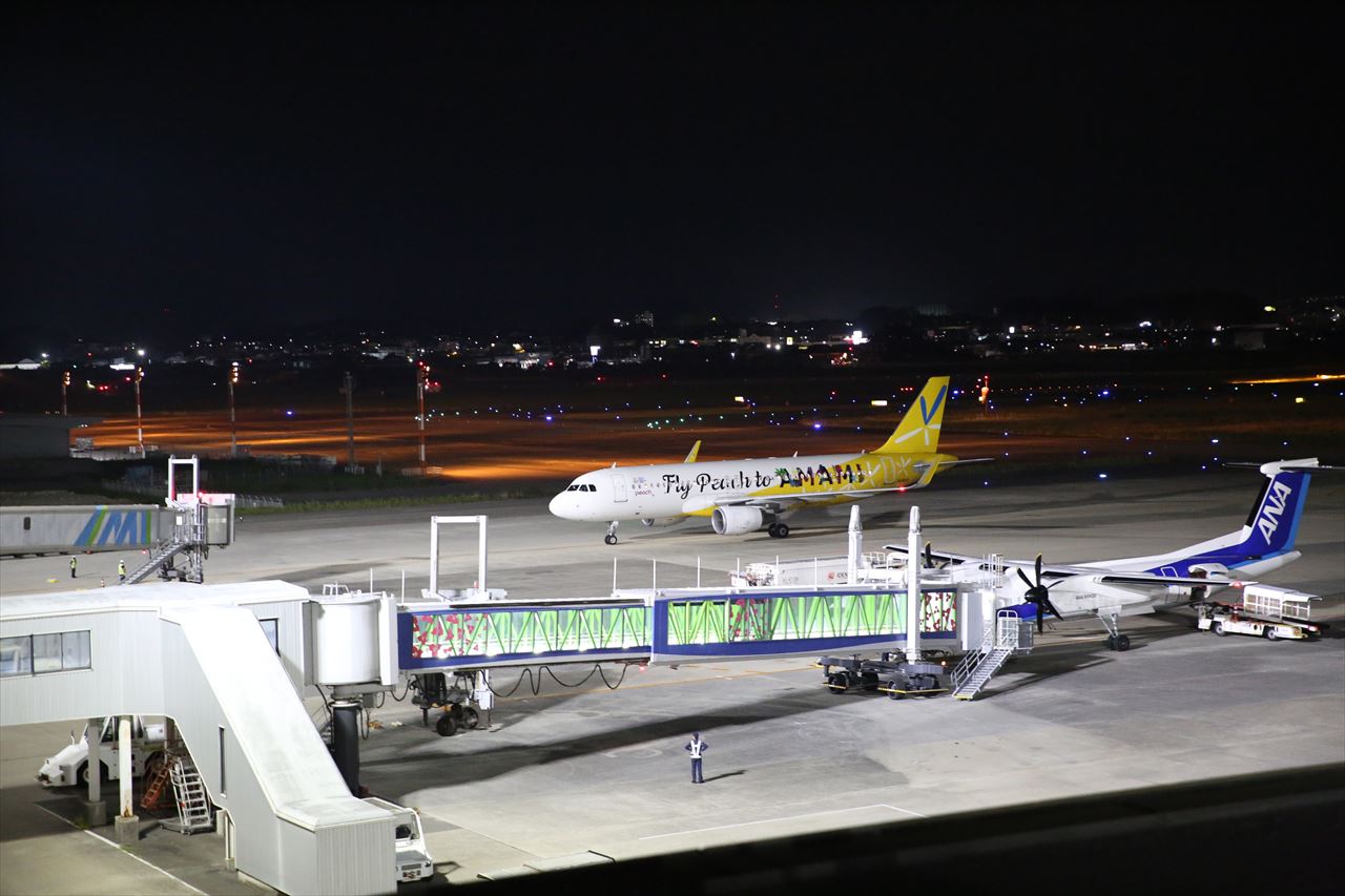 JA08VA 関西→宮崎線 MM189が宮崎空港に到着